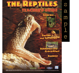 Reptiles - Sample Cover